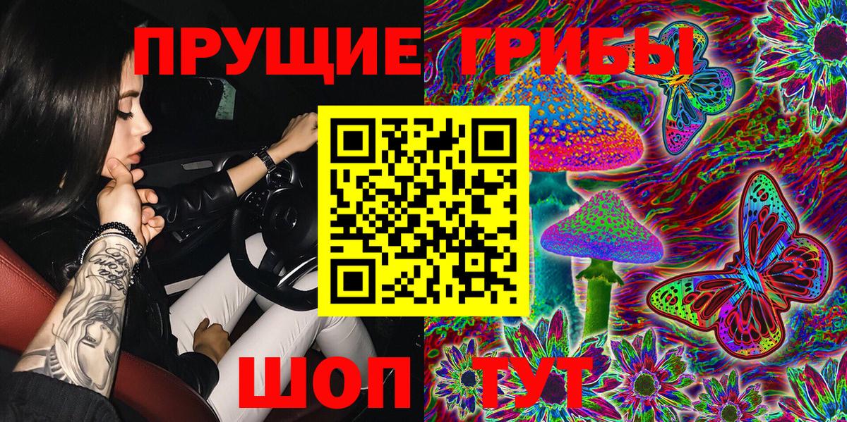 даркнет сайт  Вход с VPN  Невинномысск  Псилоцибиновые грибы Cubensis 