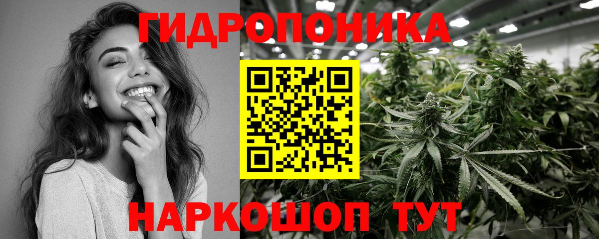 Бошки марихуана индика  Канабис планчик  Невинномысск  Шишки марихуана VHQ  МАРИХУАНА марихуана  Вход с VPN 